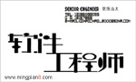  软件工程师 亚历山大 