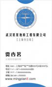武汉某某地质工程公司 