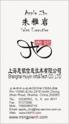上海惠银信息技术有限公
