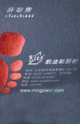 凯迪斯橱柜 薛琮雯 - [名片