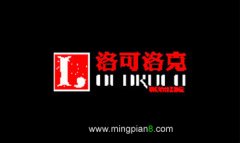 洛可洛克装饰设计 廖陈东