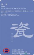  深圳市国振瓷艺有限公司 